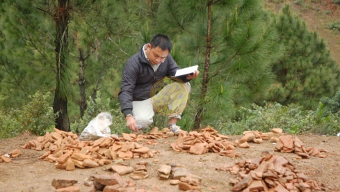 Khai quật Khảo cổ học di chỉ Động Lỗ Ngồi, Nghệ An, năm 2015.